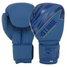  Рукавиці боксерські Fistrage 12 унцій, синій, код: VL-4144_12BL