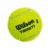 Мяч для большого тенниса Wilson Triniti 3 шт/, код: WRT125200-S52