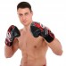 Боксерські рукавиці шкіряні Twins 12 унцій, чорний-червоний, код: BO-5058_12R Боксерські рукавиці шкіряні Twins 12 унцій, чорний-червоний, код: BO-5058_12R
