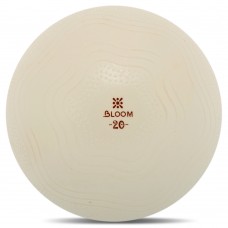 М"яч для пілатесу та йоги Bloom Mini Ball Pilates 20см, білий, код: LB7001-20