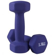 Гантелі для фітнесу вінілові FitGo 2х1,5 кг, фіолетовий, код: 80024-N15V-WS