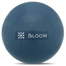 М"яч для пілатесу та йоги Mini Pilates Ball Bloom 30 см, синій, код: LB7000-30_BL